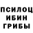 Галлюциногенные грибы Psilocybine cubensis Andrei Lozovoi