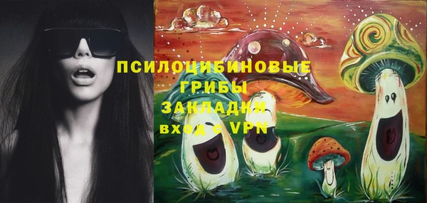МДПВ Арсеньев