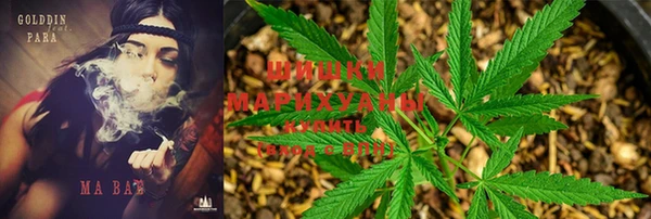 герыч Мегион