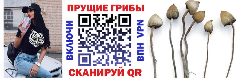 Псилоцибиновые грибы ЛСД  Купить  Балахна 